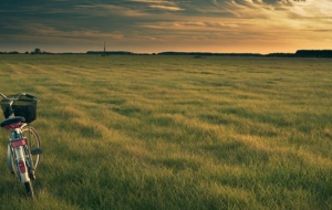 Biciklizz a Y.EAST-re!