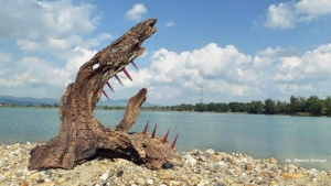 Színezd ki a Y.EAST fesztivált!